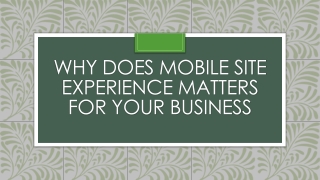 Why Does Mobile Site Experience Matters For Your Business?