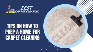 Clean Your Carpets With Our Experts