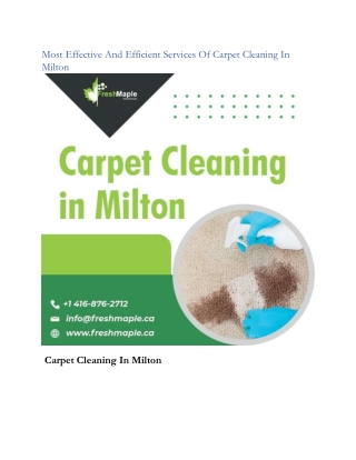 Most Effective And Efficient Services Of Carpet Cleaning In Milton