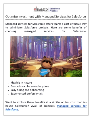 Optimize Investment With Managed Services for Salesforce