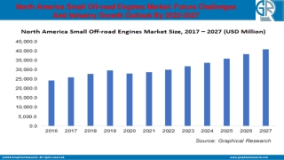 North America Small Off-road Engines Market Outlook - Industry Statistics Analys