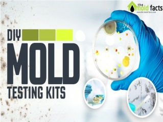 Mold Inspection Company In Los Angeles