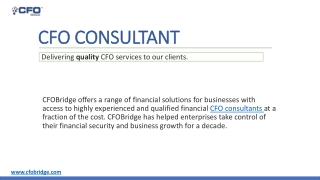 CFO Consultant