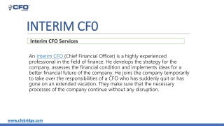 Interim CFO