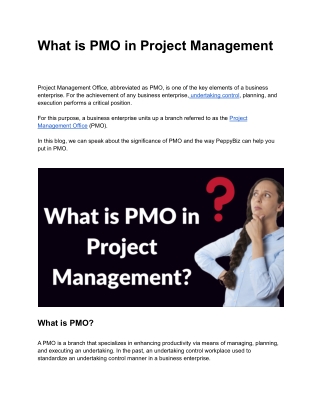 What is PMO in Project Management