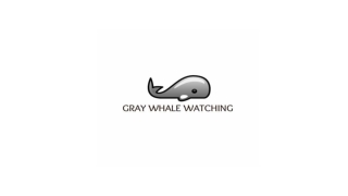 Gray Whale Watching Tours in Baja California