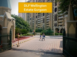 DLF Wellington Estate Gurgaon