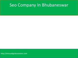 Seo Company In Bhubaneswar