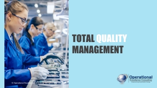 Total Quality Management (TQM)