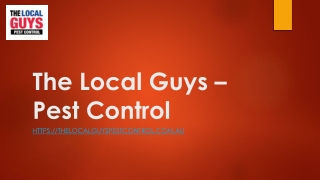 Best Termite Inspection Sydney | Thelocalguyspestcontrol.com.au