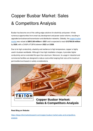 Copper Busbar Market: Sales & Competitors Analysis