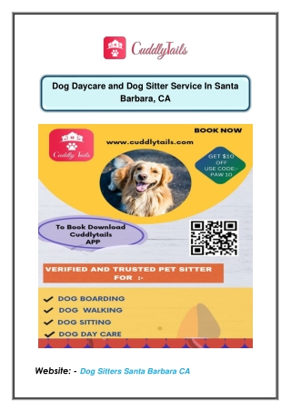 Dog Daycare and Dog Sitter Service In Santa Barbara, CA