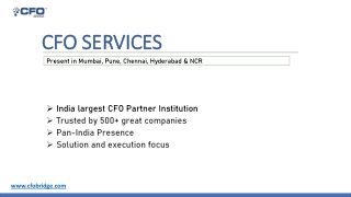 CFO CONSULTANT SERVICES