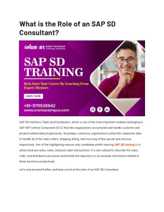 What is the Role of an SAP SD Consultant?