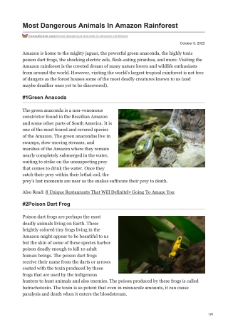 Most Dangerous Animals In Amazon Rainforest