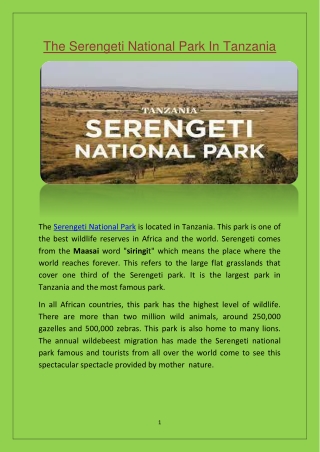 The Serengeti National Park In Tanzania
