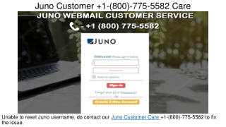 Juno Customer  1(800) 775 5582 Service