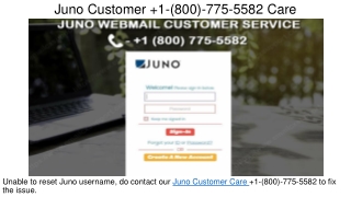 Juno Customer Care  1(800) 775 5582