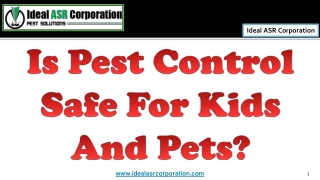 Is Pest Control Safe For Kids And Pets?