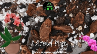 Get Top Quality Aroid Mix at a Reasonable Price