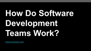 How to build Software Development Teams?