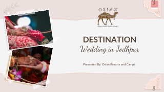 Want to Organize a Destination Wedding in Jodhpur