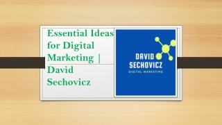 Essential Ideas for Digital Marketing | David Sechovicz