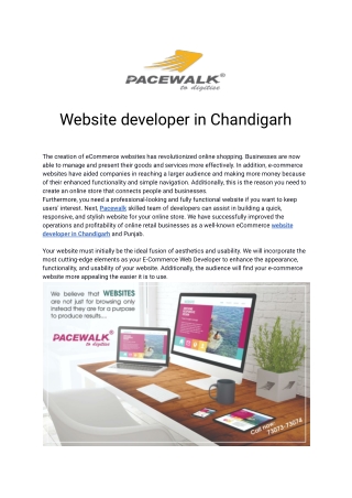 Website developer in Chandigarh