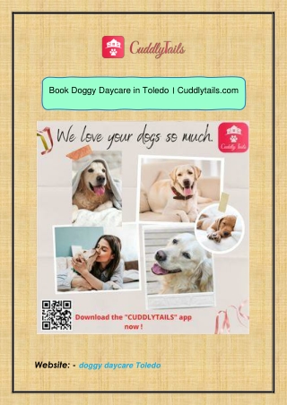 Book Doggy Daycare in Toledo । Cuddlytails.com