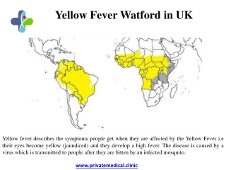 Yellow Fever Watford in UK
