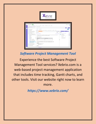 Software Project Management Tool