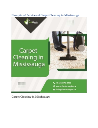 Exceptional Services of Carpet Cleaning in Mississauga