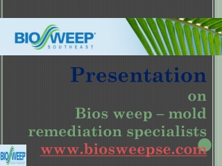 mold remediation charleston sc