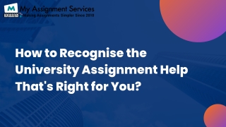 University Assignment Help