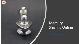 Mercury Shivling Online