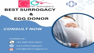How Much Is Surrogacy with Egg Donors in India?