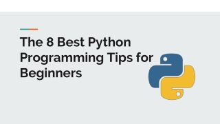 The 8 Best Python Programming Tips for Beginners