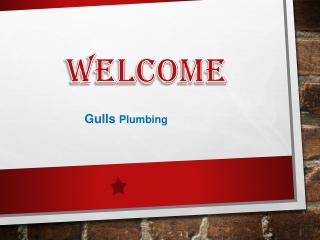 Get the Best Service of Blocked drains in Niagara Park