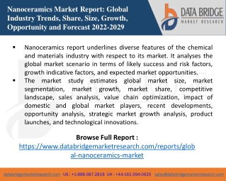 Nanoceramics Market