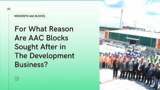 For What Reason Are AAC Blocks Sought After in The Development Business?