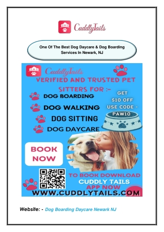 One Of The Best Dog Daycare & Dog Boarding Services In Newark, NJ