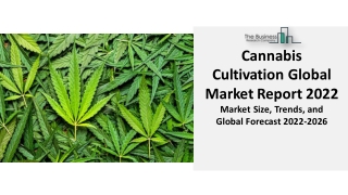 Cannabis Cultivation Market 2022 By Industry, Share, Segments And Forecast 2031