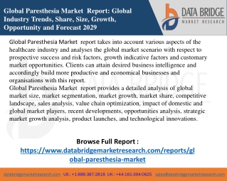 Global Paresthesia Market  report pdf