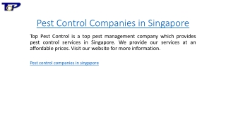 Pest Control Companies in Singapore