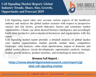 Cell Signaling Market  Features, Opportunities and Challenges