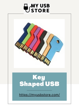 Key Shaped USB Supplier USA | Buy Bulk Novelty Flash Drives