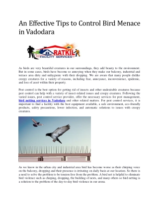 Bird Netting Service in Vadodara