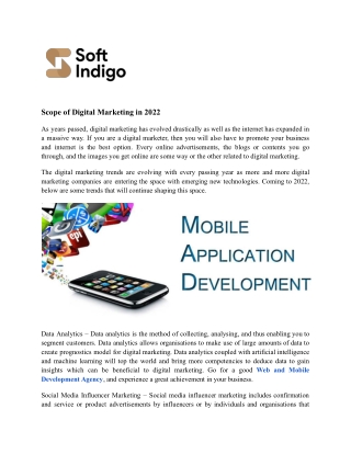 Web and Mobile Development Agency _ Softindigo