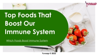 Food that Boosts the Immune System