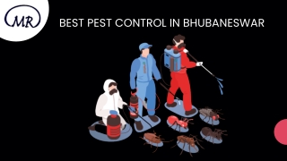 Best pest control in Bhubaneswar